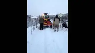 Icewine harvest 2013