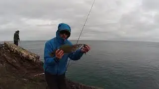 Winter Lure Fishing- Pollack, Coalies, Codling and the Police