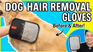 Are These Dog Hair Removal Gloves ACTUALLY Useful?