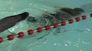Tomasz Nitka DYN 150m, rekord Polski, I Basenowy Puchar Polski, Stalowa Wola 2004