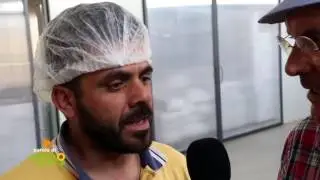 PASTIFICIO AGRICOLO LENATO VIDEO