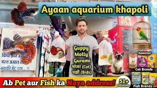 Ayaan Aquarium || Khapoli BIGGEST aquarium fish store🐠 || Rare & Exotic Fishes #aquarius #fish