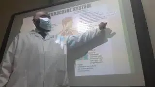 Endocrine system CH10 part1 3113