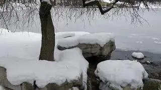 Romania - Craiova - Nicolae Romanescu Park