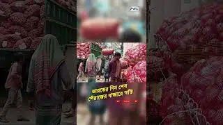 বাংলাদেশে পেঁয়াজ দিতে না পেরে ভারতীয়দের হাহাকার I PBC24TV