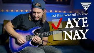 Alestorm's M&aacute;t&eacute; Bodor NAILING it