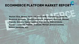 ECommerce Platform Market Report 2024