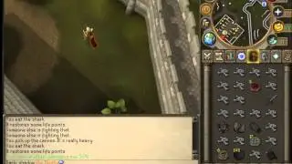 Darkr shadow- Road to elysian spirit sheild day 2 part 1
