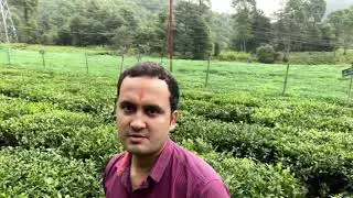 Tea plantation #biology #uttarakhand