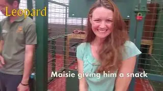 Visit to the big cat sanctuary, tour of the big felines including Maya!