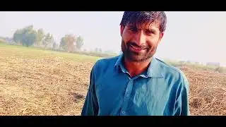 Tarali phans gaye nikalne ki koshish jari 