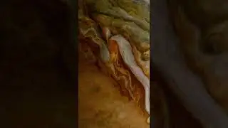 Fly over Jupiter's Clouds in Extreme Detail.