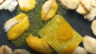slime mold sclerotium reviving