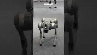 Robotic dog performs somersault stunts at WRC 2024
