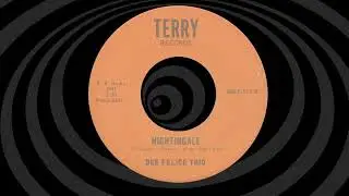 Dee Felice Trio - Nightingale - Terry