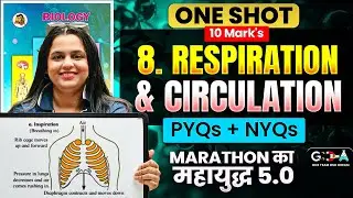 8.Respiration & Circulation | ONE SHOT 10 Mark's + PYQs + NYQs🔥Marathon का महायुद्ध 🔥ASC