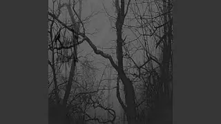 december night... memory...