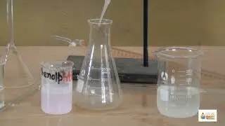 Determine the exact molarityof the NaOH solution Volumetrically.
