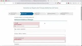 COMMENT S'INSCRIRE AU REGISTRE DES FRANCAIS A L'ETRANGER ?