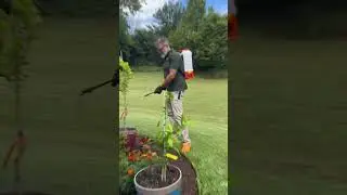 Discover Why Gardeners Choose THIS Sprayer Over Other Brands! #gardentools #diy  #diygardening