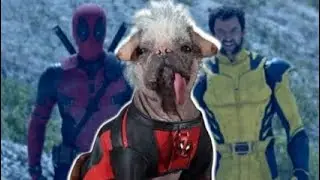 Ryan Reynolds Reveals First Look at Dogpool