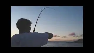 NSW trip edit HD