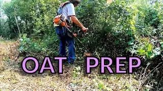 A Big Slash and Burn Before Planting the Winter Oats