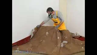 WOW Total Cleaning & Restoration Austin TX 78748-3701