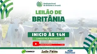 Leilão Sindicato Rural de Britânia-GO - 31/01/26 | Leilão ao vivo - Leilão de Gado