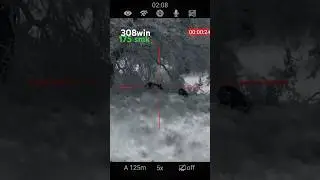 175 Sierra match king vs pigs