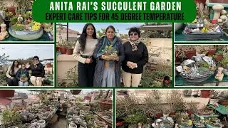 Anita Rai’s Succulent Garden: Expert Care Tips for 45 degree temperature