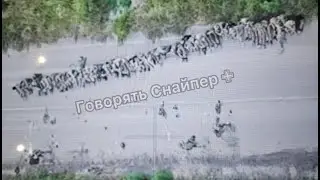 Прорыв ВСУ в Курской области: Бумеранг войны вернулся в Россию