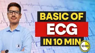 ECG Basics in 10 Minutes | Easy ECG Interpretation for Beginners|ECG@ANMOLNURSINGAIDER 