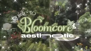 🌷 𝓖𝓾𝓲𝓭𝓮 𝓽𝓸 : 𝑩𝒍𝒐𝒐𝒎𝒄𝒐𝒓𝒆 ~ ♡