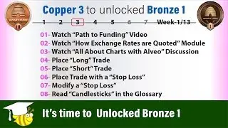 Apiary 2019: Video Tutorial How To Unlocked Bronze 1 - BeeLine