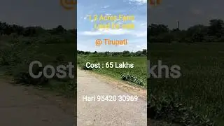 1.3 Acres ( 1 Acre 30 Cents ) farm land for sale In Tirupati| Per Cent Price: 50,000/-