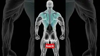 Thursday back training #training #gymnasticstraining #back #airsofttraining