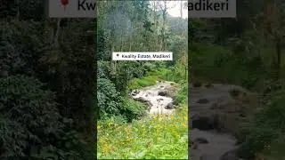 Best BUDGET STAY IN COORG Inside a Coffee Plantation (with a stream)
