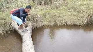 SAAT AIR SUNGAI MULAI SURUT MANCING DI PARIT INI PESTA IKAN MONSTER..