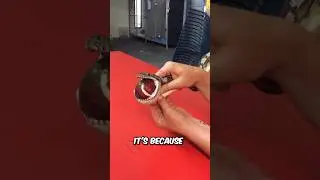 Snake Swallows Tennis Ball