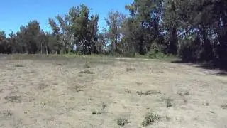 Kentucky Dirt Fishing #34 The Soy Bean Field