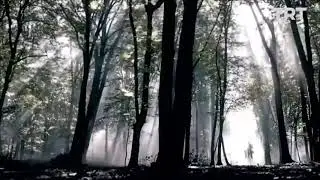 Ertugrul Ghazi Tamil - Trailer