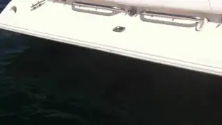 1997 Fountain 27 Fever with CMI exhaust