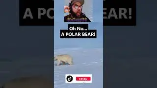 What Would YOU Do HERE?