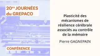 Plasticit&eacute; des m&eacute;canismes de r&eacute;silience c&eacute;r&eacute;brale associ&eacute;s au contr&ocirc;le de la m&eacute;moire &ndash; P. Gagnepain