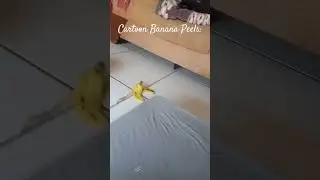 8 de setembro de 2024