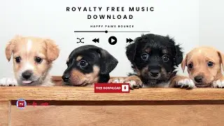 Happy Paws Bounce | Royalty Free Music Free Download (Copyright Free)