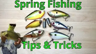 spring time LIPLESS CRANKBAITS - Everything You Need To Know for spring time bass fishing!!!