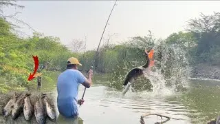 Unbelievable single hook fishing catching big rohu fishes || fish videos ganesh vlogger