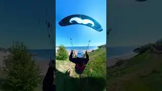 Bailey the Jug dog goes paragliding.